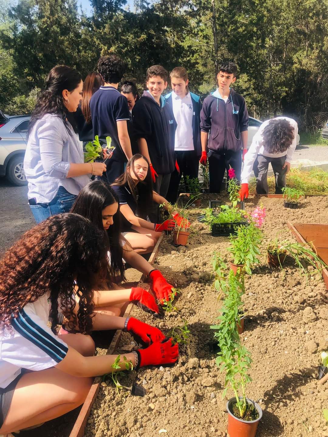 Practical Permaculture Farming Event for High School Students – Near ...